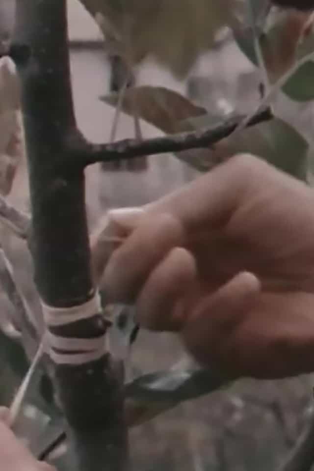 421031