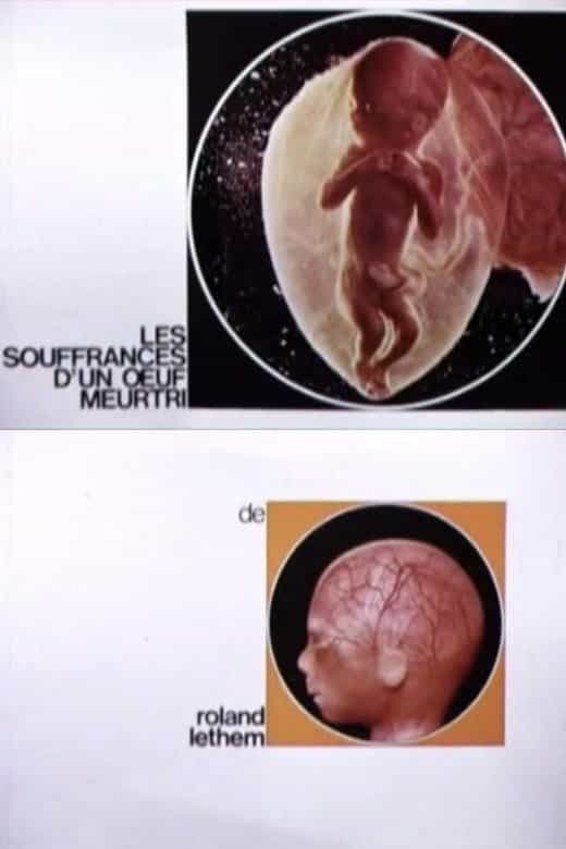 306011