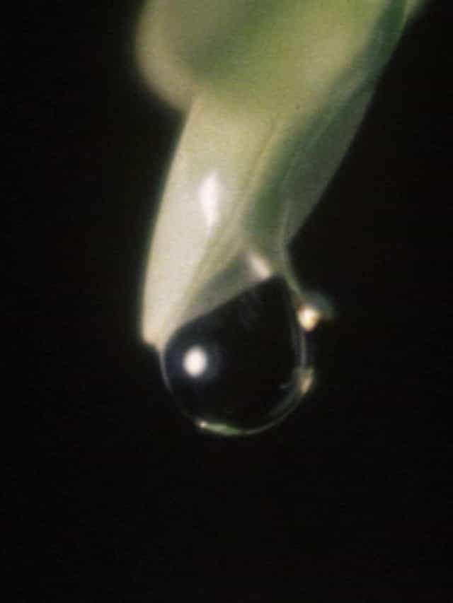 1301670