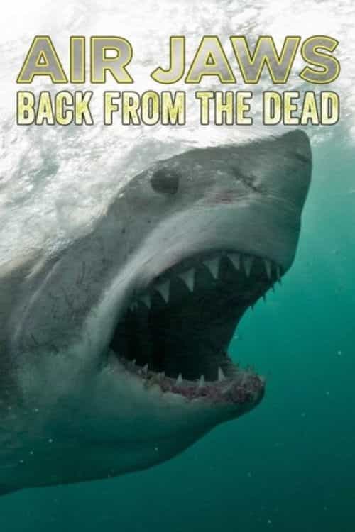 707083