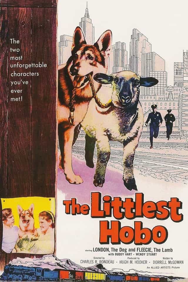 204798