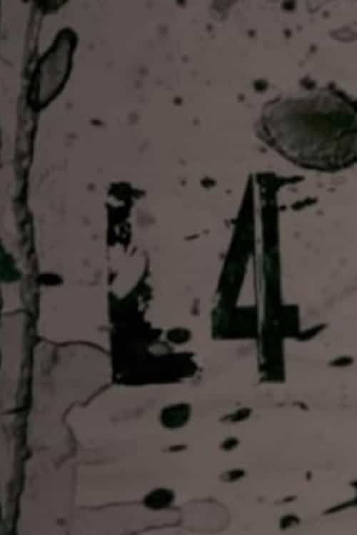 1172388