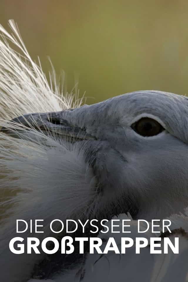 1338729