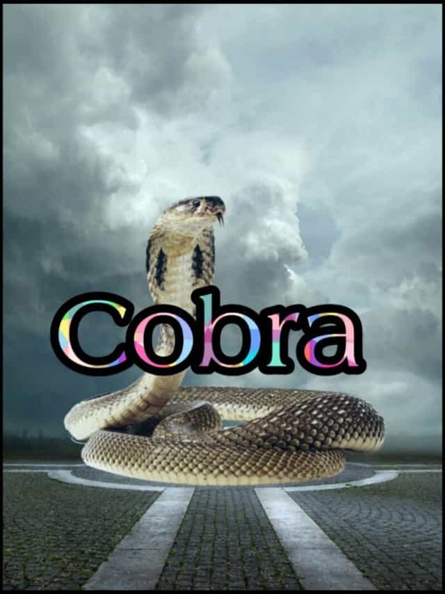 750782