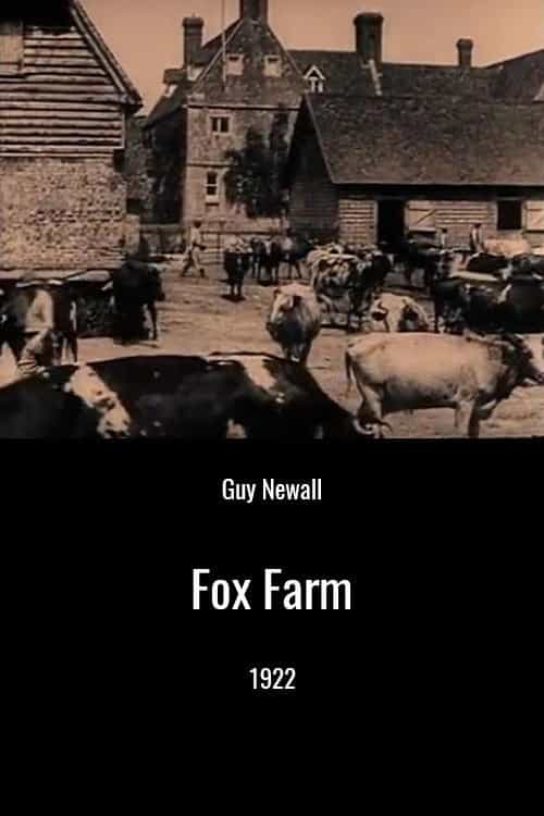 628651
