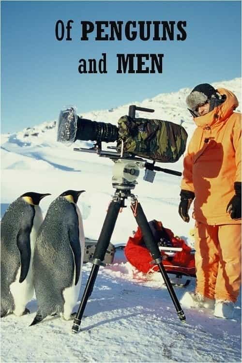 14296