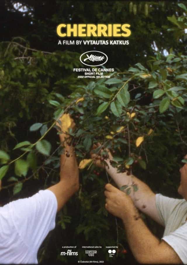 966626