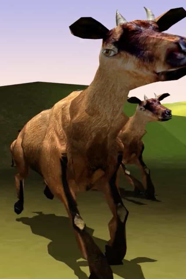 1163597