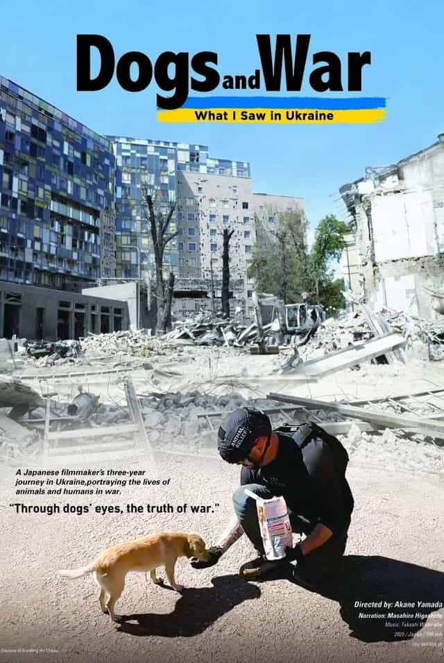 1594363
