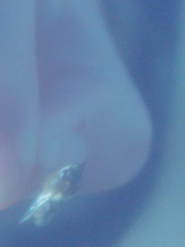1311256