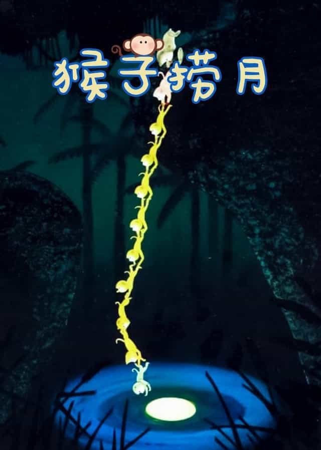 76252