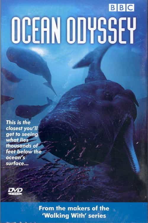 22601
