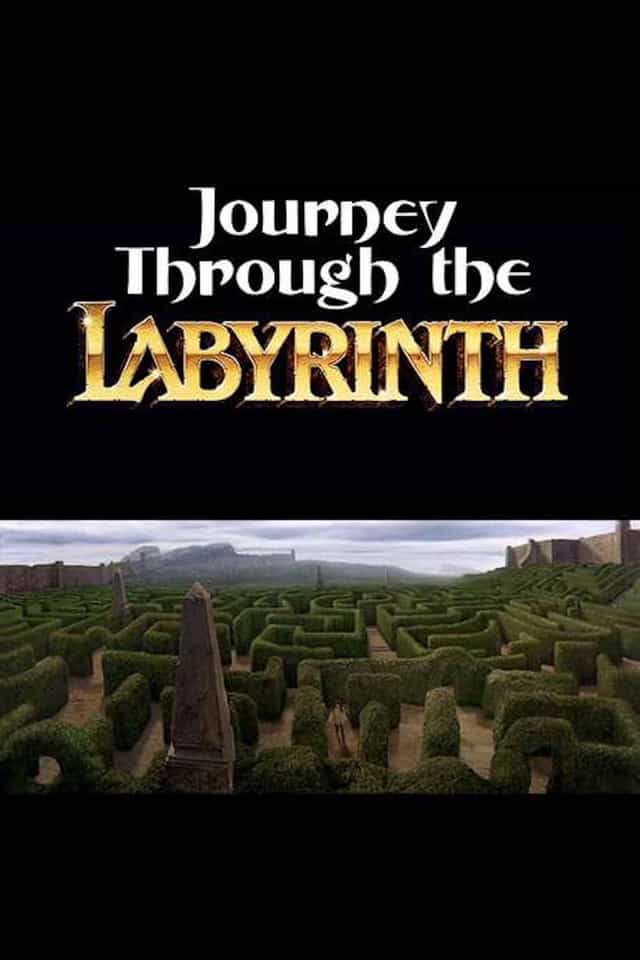 239071
