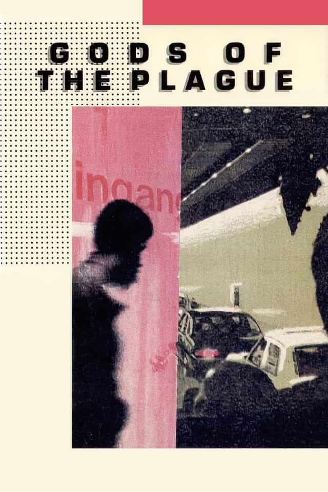 10244