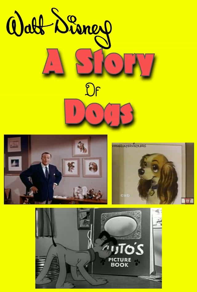 1021788