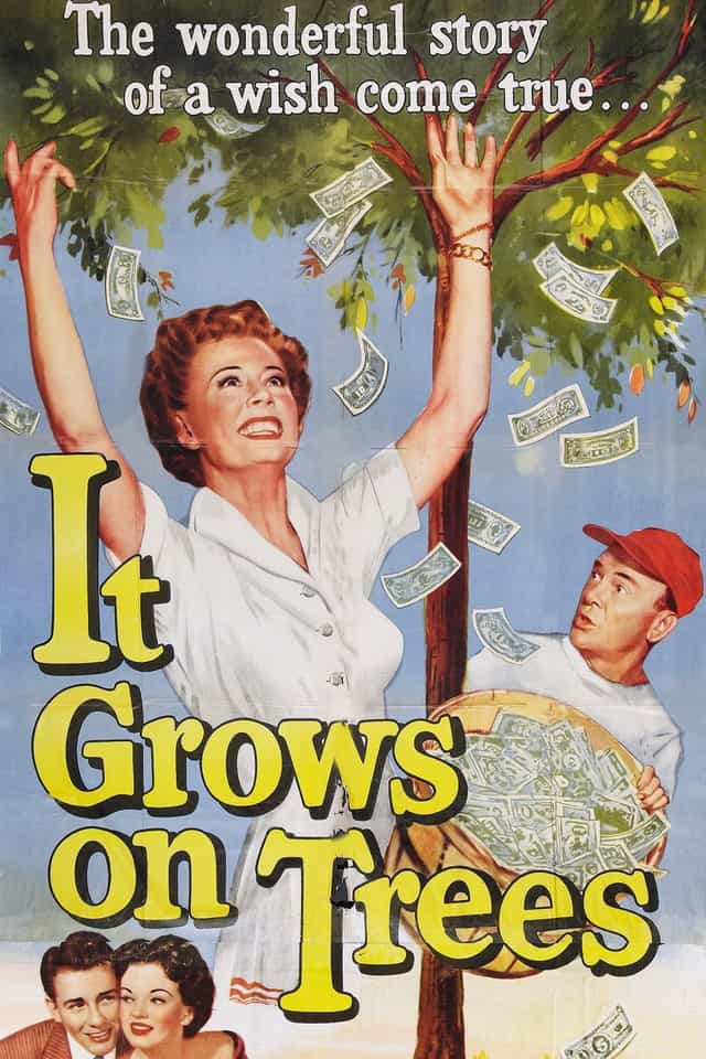 258737