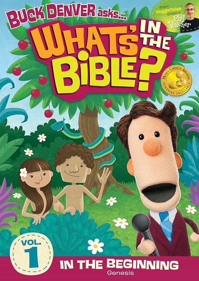 303223