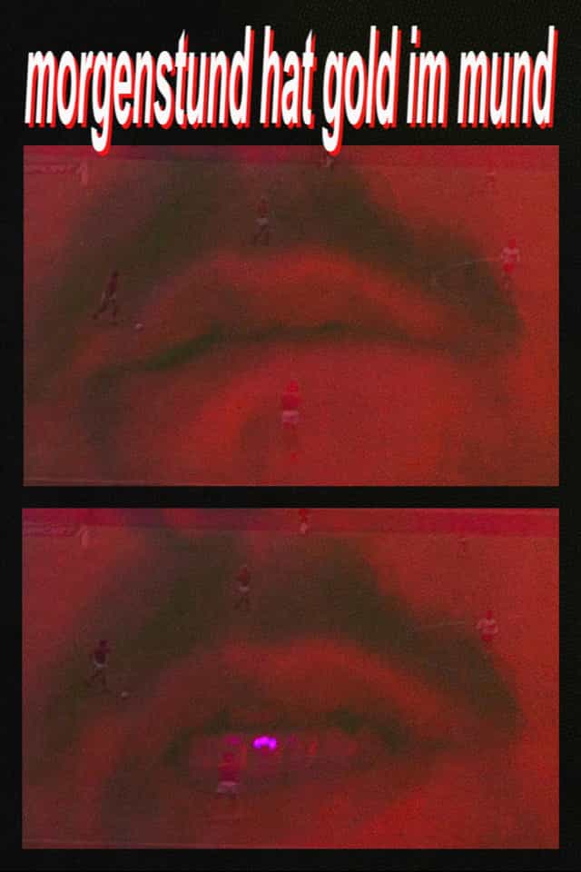 1629621