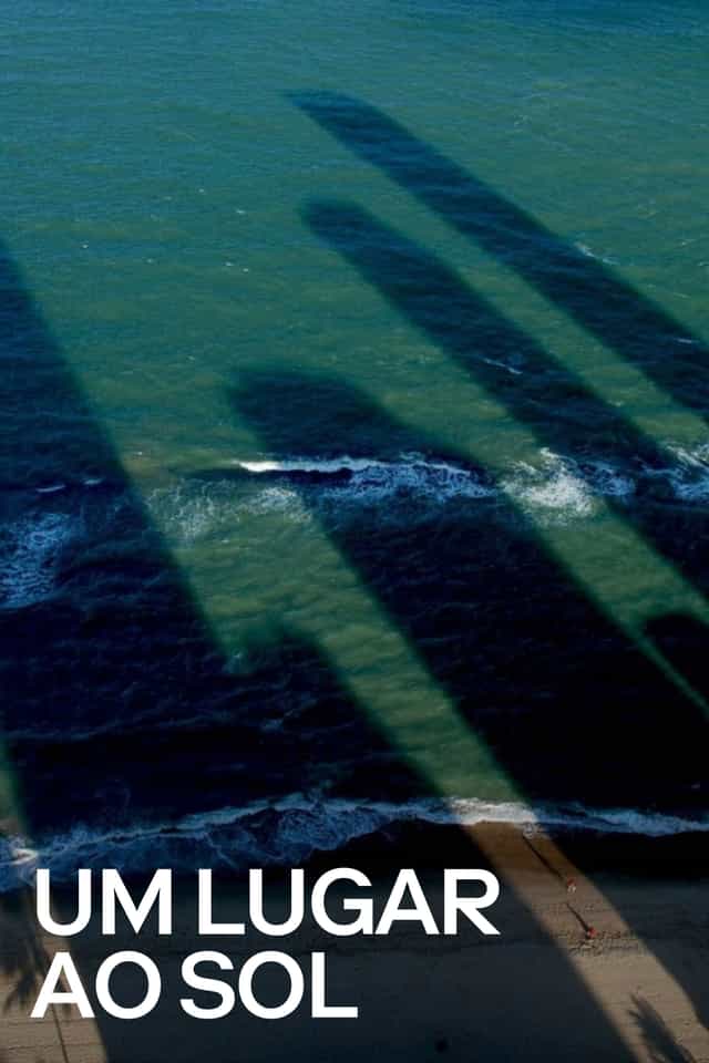 204558