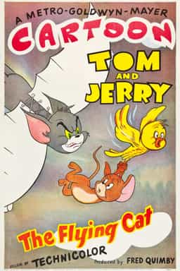 69116