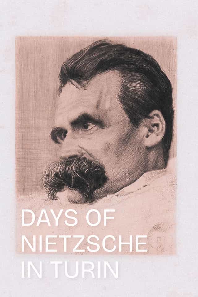 163077