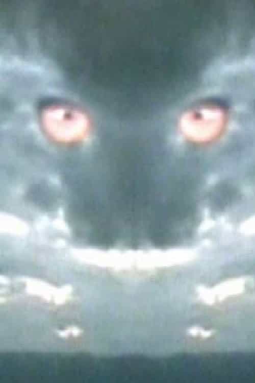 1362325