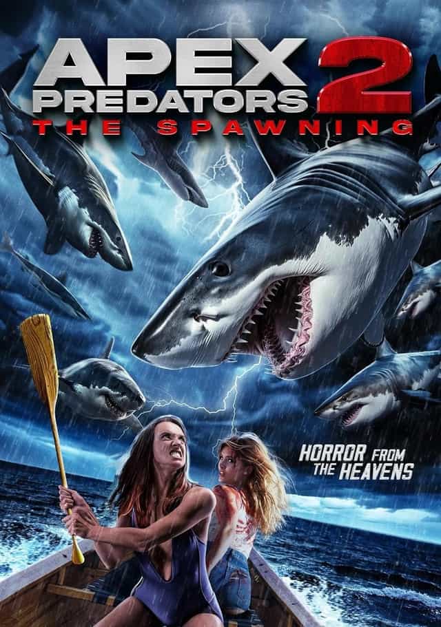 1137242