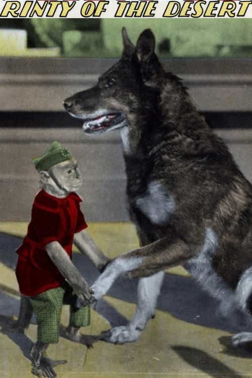 337829