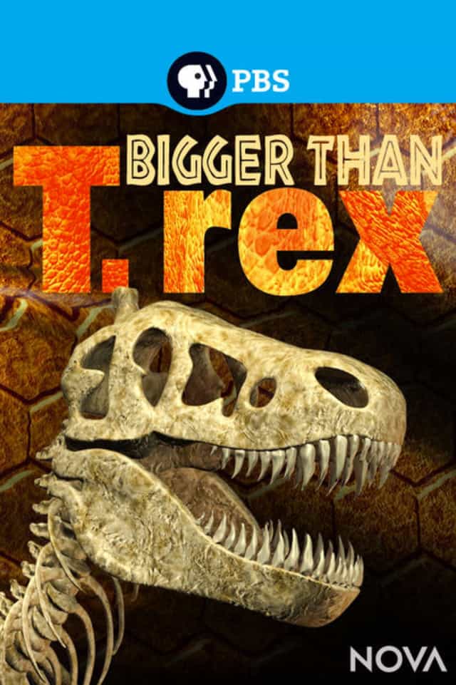 557386