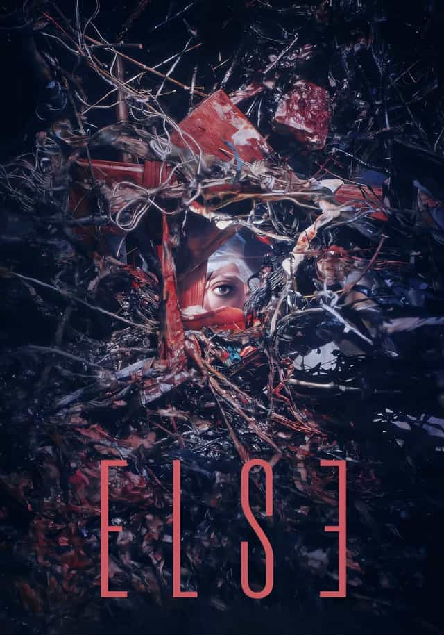 1136387