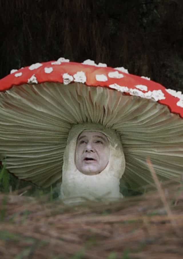 1186744