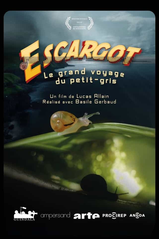 1593911