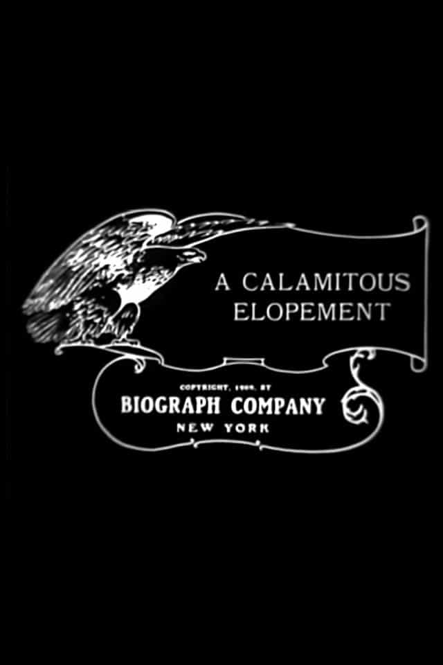 196606