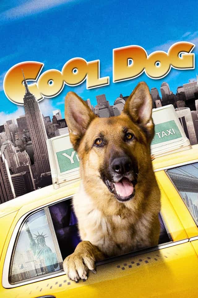 50119