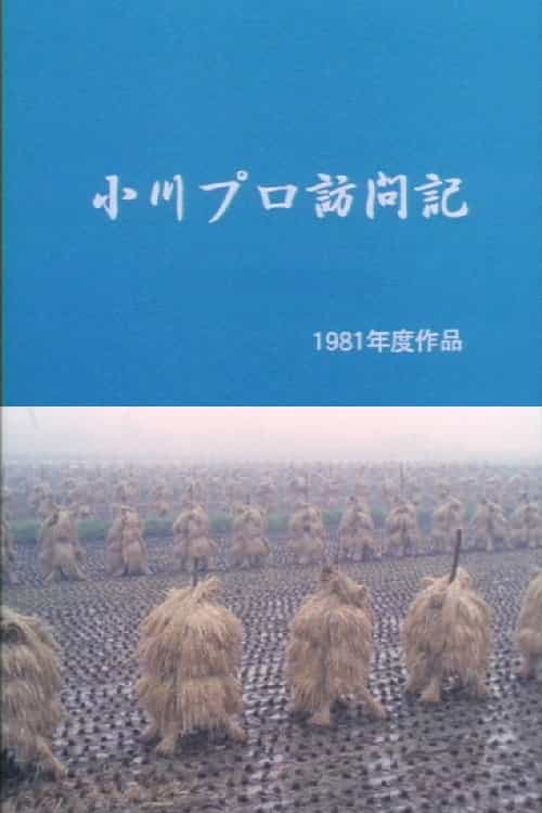 260665