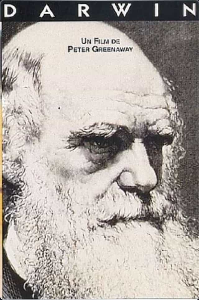 218061