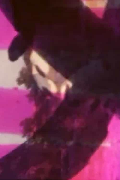 1029661