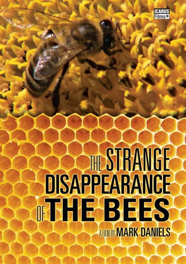 775297