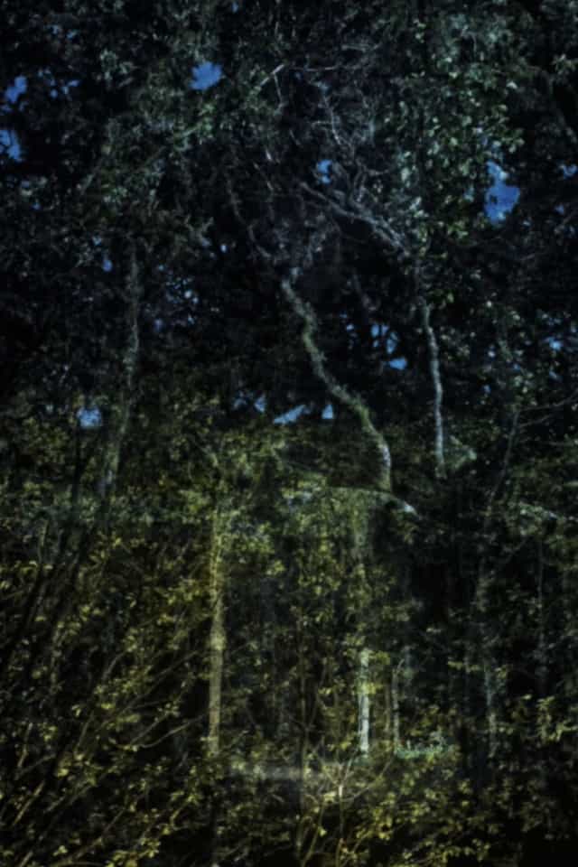 1430684