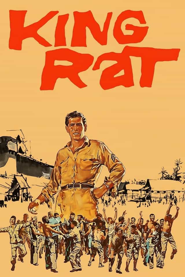 29586