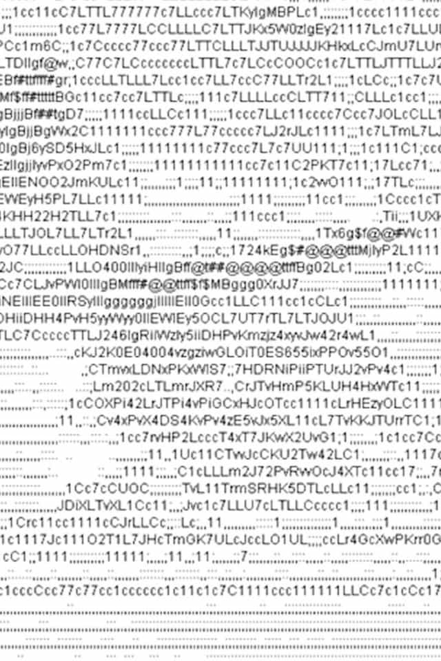 404041
