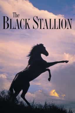 17264