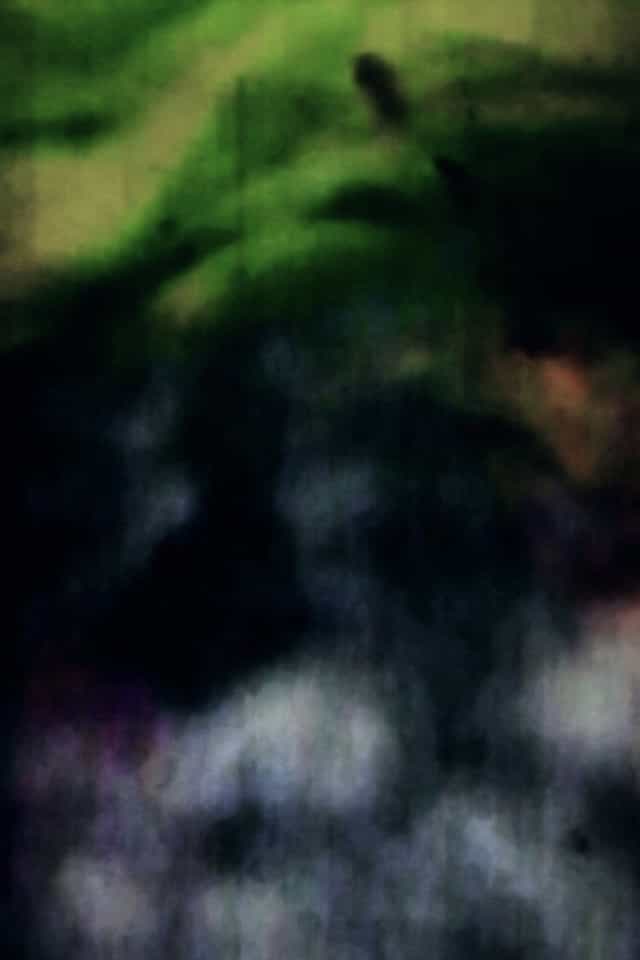 503223