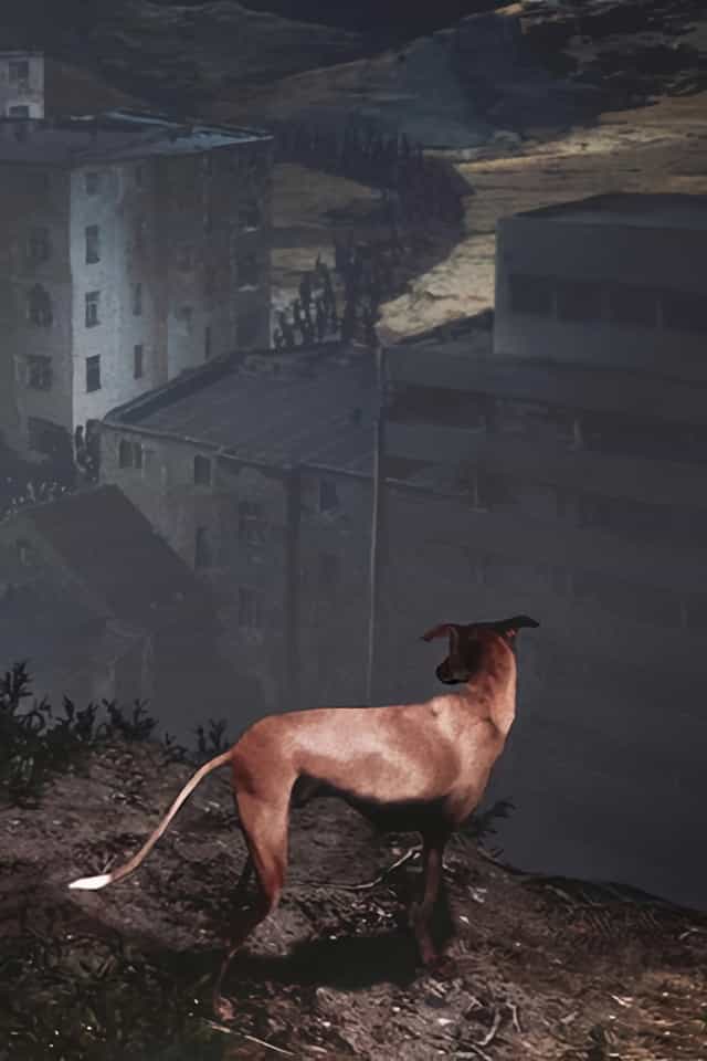 1315899