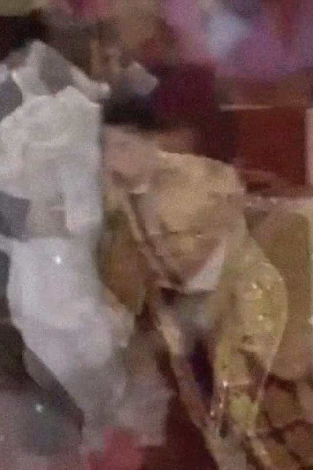 1317985