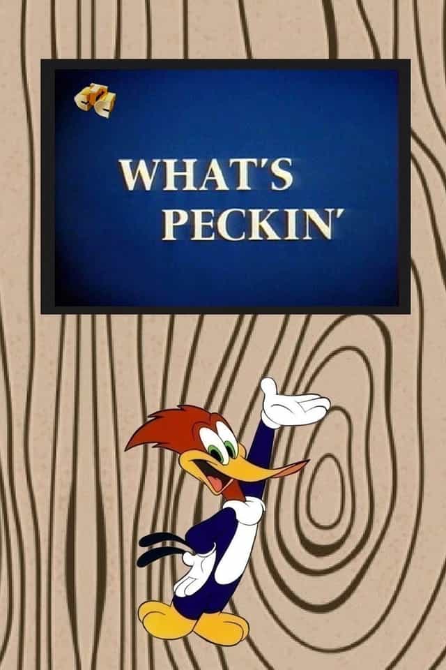 234347