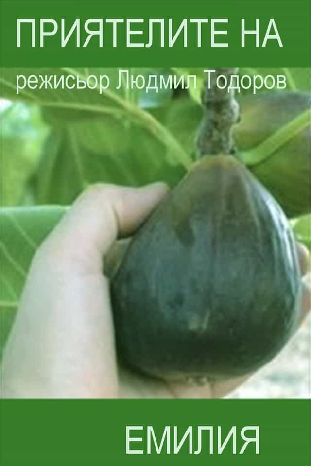 1560353