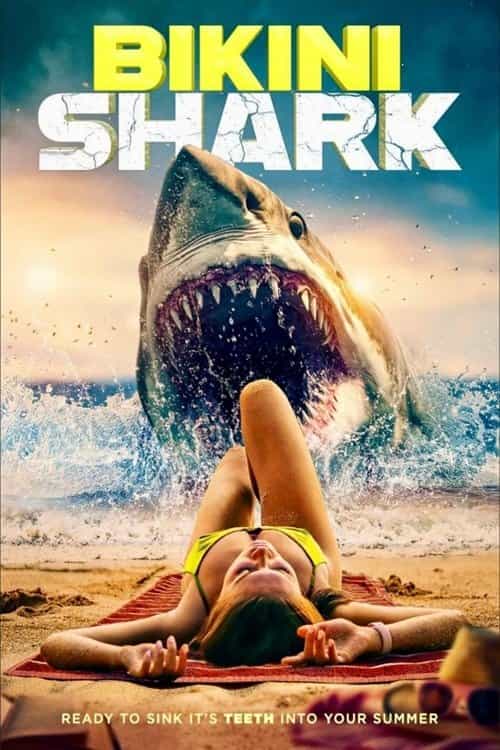 1323806