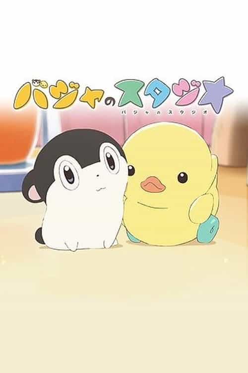 475997
