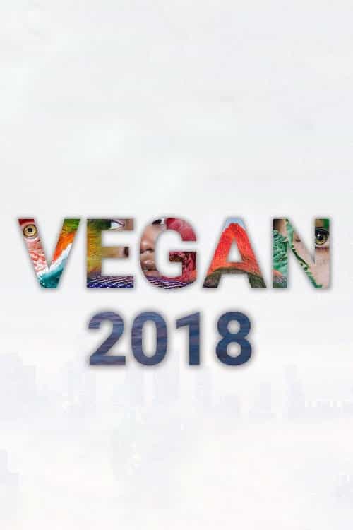 566508